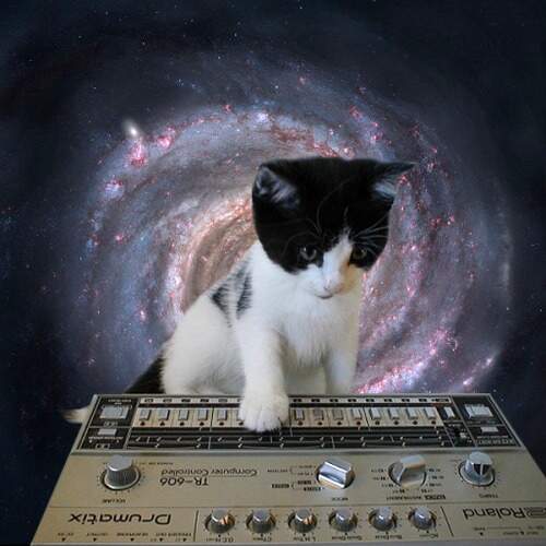 TB 303 + cat in space